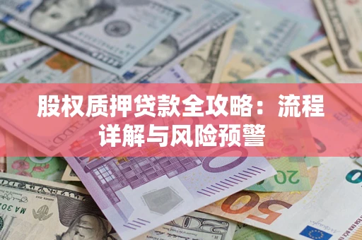 武汉股权质押贷款全攻略：流程详解与风险预警