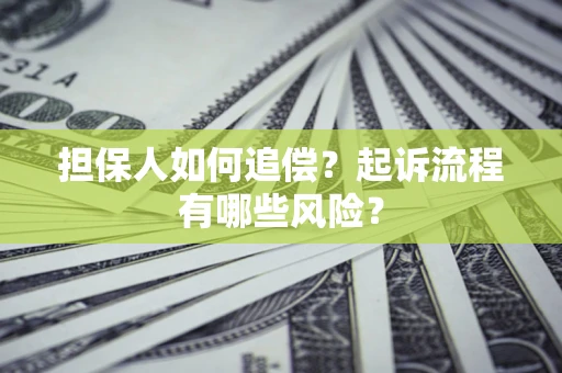 武汉担保人如何追偿？起诉流程有哪些风险？