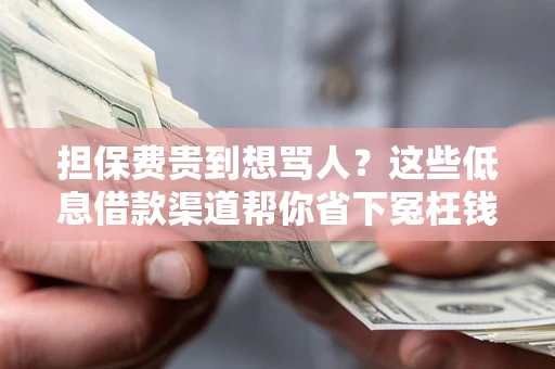武汉担保费贵到想骂人？这些低息借款渠道帮你省下冤枉钱