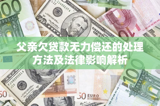 武汉父亲欠贷款无力偿还的处理方法及法律影响解析