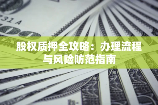 武汉股权质押全攻略：办理流程与风险防范指南